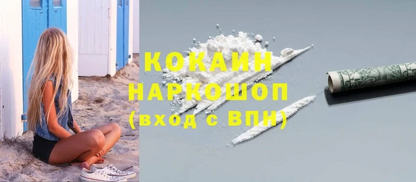 бошки Алексин