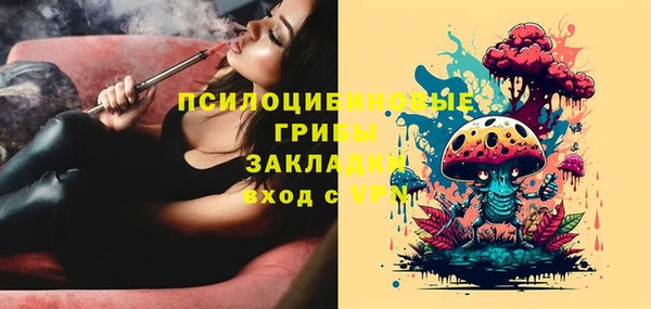 прущая мука Алзамай