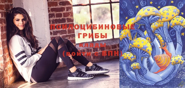 прущая мука Алзамай