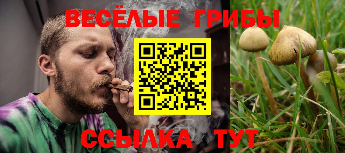Тосно  Галлюциногенные грибы Psilocybine cubensis  Псилоцибиновые грибы ЛСД  Вход с VPN 